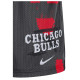 Nike Ανδρικό σορτς Chicago Bulls Courtside Dri-FIT NBA Mesh Practice Shorts